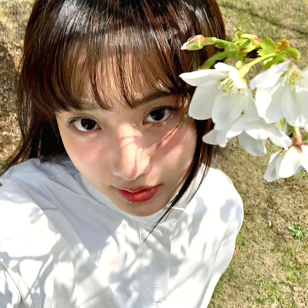 柏蒂娜的苦泪