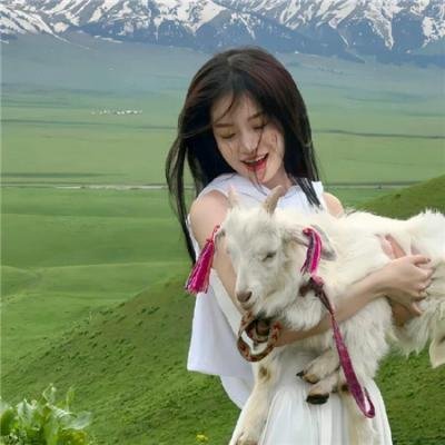 美国第一欢乐家庭